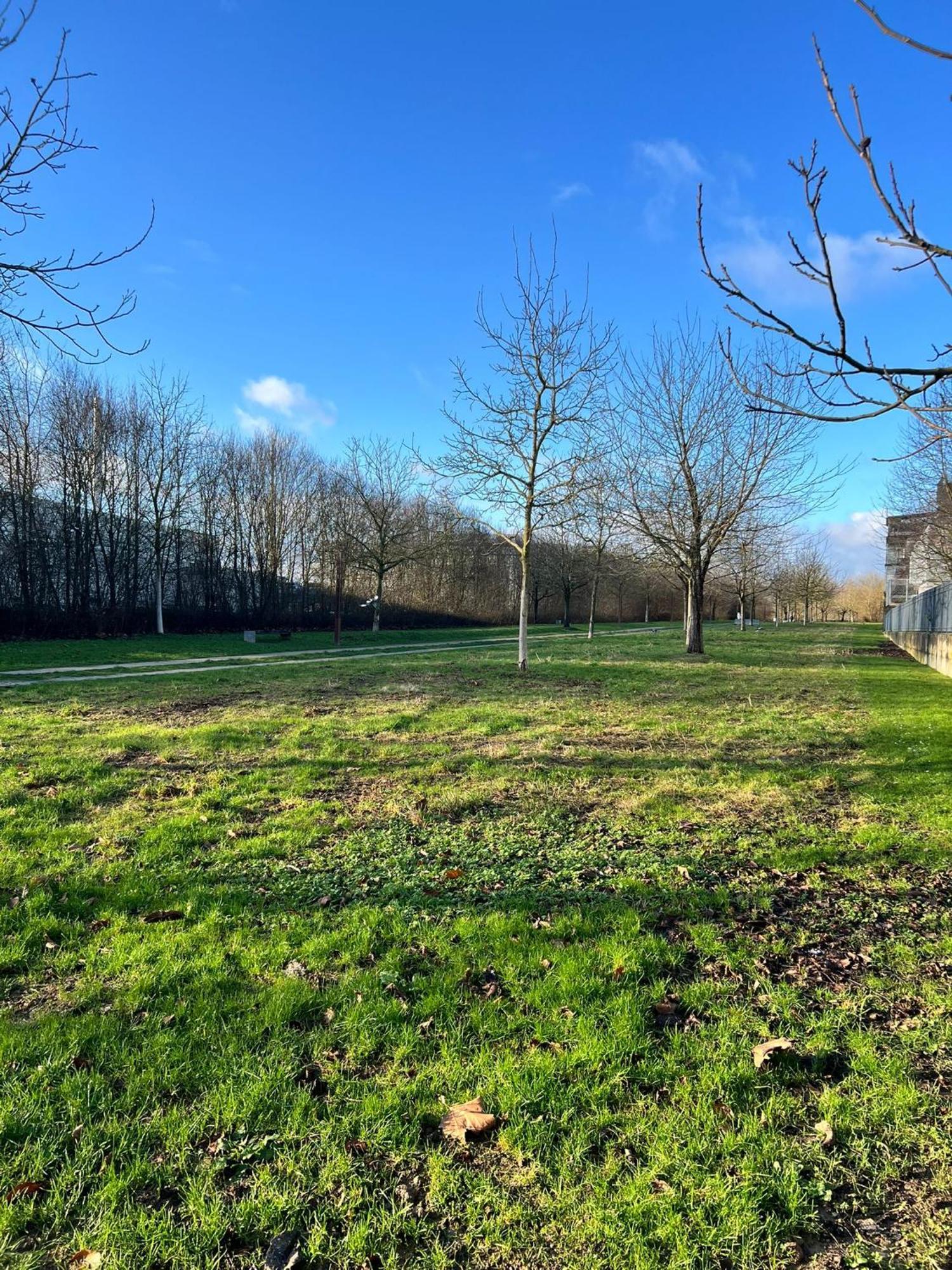 Appartement 2 Pieces 5Min Gare Val D'Europe Parking Inclus 蒙泰夫兰 外观 照片